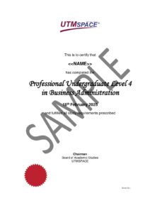 professional undergraduate level 4 utmspace cert